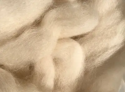 Image of light-fawn alpaca fibre rovings laid next to each other